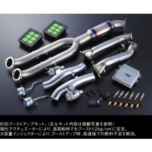 TRUST（トラスト） 自動車関連業者直送限定 GReddy パワー