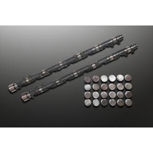 スーパーカムシャフトショアプロ II スカイライン GT-R BNR34