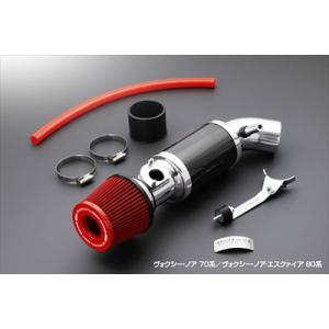 ヴォクシー 80系 後期 ガソリン NA車 カーボンチャンバーエア 