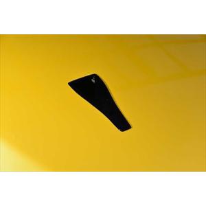 ルノー メガーヌ R.S.用 エアスクープ13