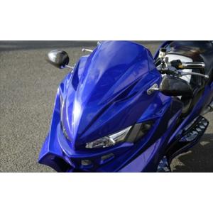 スカイウェイブ250 CJ43 ZOOM フロントフェイス カウル単体 塗装取付込