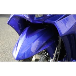 スカイウェイブ250 CJ44/CJ45 ZOOM フロントフェイス 塗装済 純正塗装