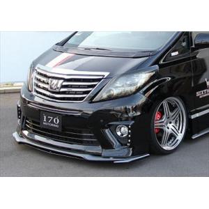 20系アルファード ヴェルファイア キャンバープレート 1度 3度