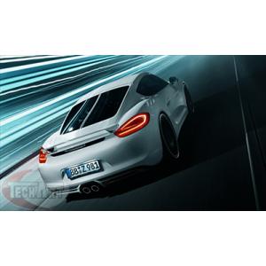 テックアート Porsche 981 Cayman エアチャンネルトリム 塗装済み