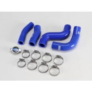 X-Fang シリコンウォーターライン ブルー デリカD:5 CV1W H25.1〜H31.2