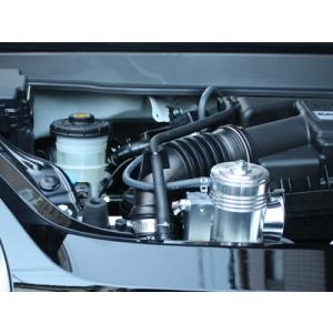 N-ONE JG1/JG2 プッシュンR SS