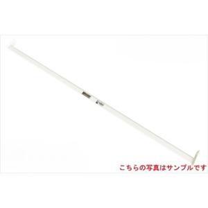 SXA10G/SXA11G RAV4 ルームバー