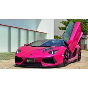 Lamborghini Aventador LP700-4 SQUALO Carbon Type A...