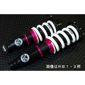 インサイト ZE2 V-ashi 踏める車高調