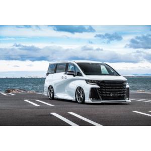 40系 アルファード(ユニバーサルステップ付車）MODELLISTA サイド