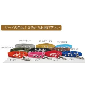 ショートリードしつけ用にも最適　Ｓサイズ 小型犬【ペット用品　通販　トップワン】