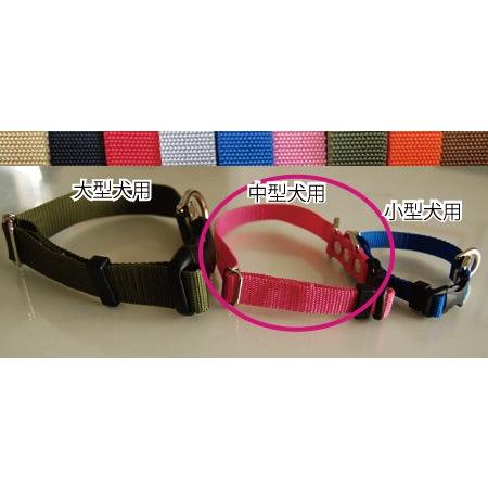 元祖 ロングリード専用首輪　Mサイズ 中型犬　トップワン　 しつけ教室　愛犬訓練用(トレーニングリー...