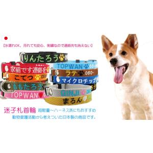 文字が消えない迷子札 犬 迷子札 刺繍首輪  Mサイズ 日本製 首輪 軽量  犬用迷子札 IDタグ 小型犬 中型犬 名前 首輪 名前入 災害   おしゃれ　首周り23ｃｍから