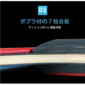 ポータブル 卓球セット 卓球 ピンポン ネット...の詳細画像1