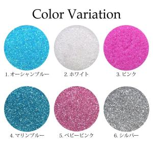 New 上質 ラメ グリッター 約2g前後入り...の詳細画像1