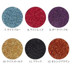 New 上質 ラメ グリッター 約2g前後入り...の詳細画像2