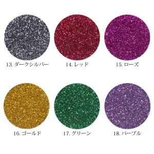 New 上質 ラメ グリッター 約2g前後入り...の詳細画像3