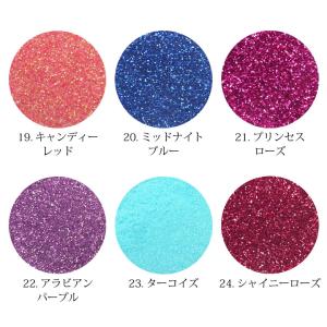 New 上質 ラメ グリッター 約2g前後入り...の詳細画像4