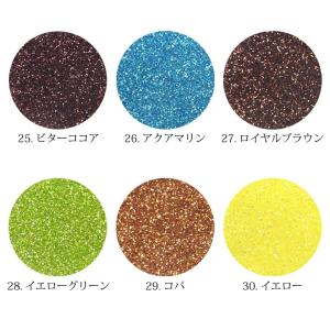 New 上質 ラメ グリッター 約2g前後入り...の詳細画像5