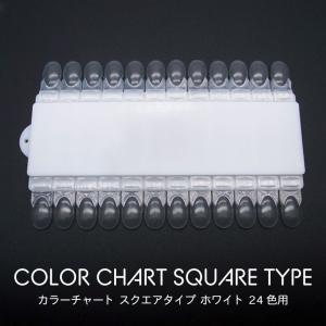 マグネット式 クリア カラーチャート 【 約40枚入り】ネイルチップ