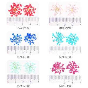 【79-84・92-93】ケース入り 押し花(...の詳細画像1