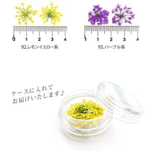 【79-84・92-93】ケース入り 押し花(...の詳細画像2