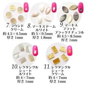 ネイルパーツ シェル プレート 全13種 3個入りの詳細画像2