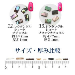 ネイルパーツ シェル プレート 全13種 3個入りの詳細画像3