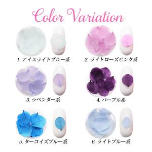 ドライフラワー ソフトタイプ 紫陽花 花びら ...の詳細画像1