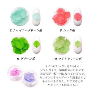 ドライフラワー ソフトタイプ 紫陽花 花びら ...の詳細画像2
