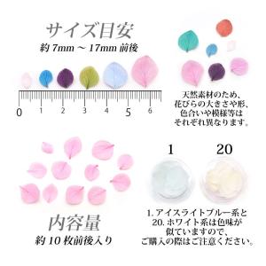 ドライフラワー ソフトタイプ 紫陽花 花びら ...の詳細画像3