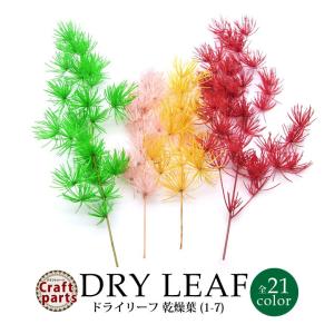 ドライリーフ 乾燥葉 各種 3本入(1-7)の商品画像