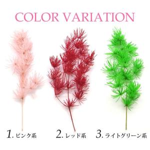 ドライリーフ 乾燥葉 各種 3本入(1-7)の詳細画像1