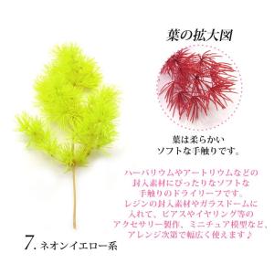 ドライリーフ 乾燥葉 各種 3本入(1-7)の詳細画像3