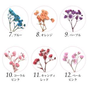 押し花 ドライプレスフラワー ミニかすみ草 全...の詳細画像2