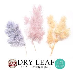 ドライリーフ 乾燥葉 各種 2~3本前後入り(8...の商品画像