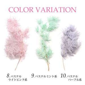 ドライリーフ 乾燥葉 各種 2~3本前後入り(...の詳細画像1