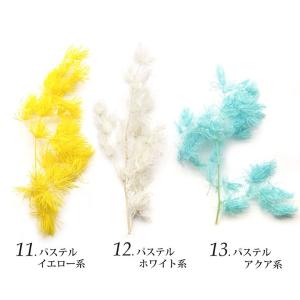 ドライリーフ 乾燥葉 各種 2~3本前後入り(...の詳細画像2