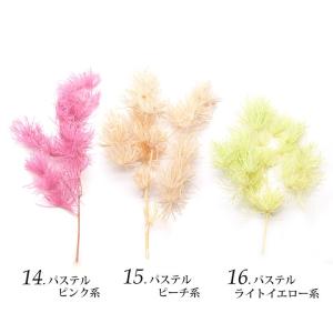 ドライリーフ 乾燥葉 各種 2~3本前後入り(...の詳細画像3