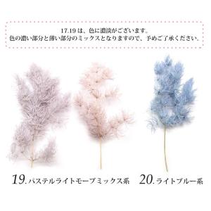 ドライリーフ 乾燥葉 各種 2~3本前後入り(...の詳細画像5