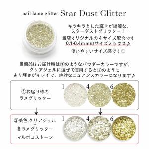 ネイル ラメ グリッター スターダストグリッタ...の詳細画像1