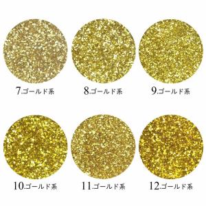 ネイル ラメ グリッター スターダストグリッタ...の詳細画像3