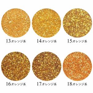 ネイル ラメ グリッター スターダストグリッタ...の詳細画像4