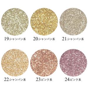 ネイル ラメ グリッター スターダストグリッタ...の詳細画像5