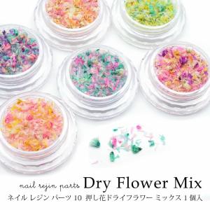 ネイル レジン パーツ 10  押し花 ドライフラワー ミックス 1個 ケース入り｜tora-shop