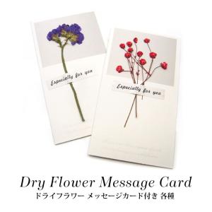 ドライフラワー メッセージカード付き 各種 22-33