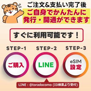 eSIM版【SMS認証可】docomo プリペ...の詳細画像2