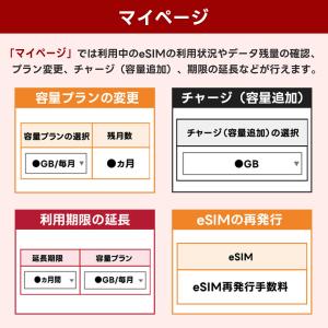 eSIM版【SMS認証可】docomo プリペ...の詳細画像5