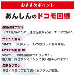 (オンライン完結) docomo プリペイド ...の詳細画像2