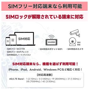 プリペイドSIM 365日間 20GB 日本 ...の詳細画像3